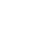 wordpress development service